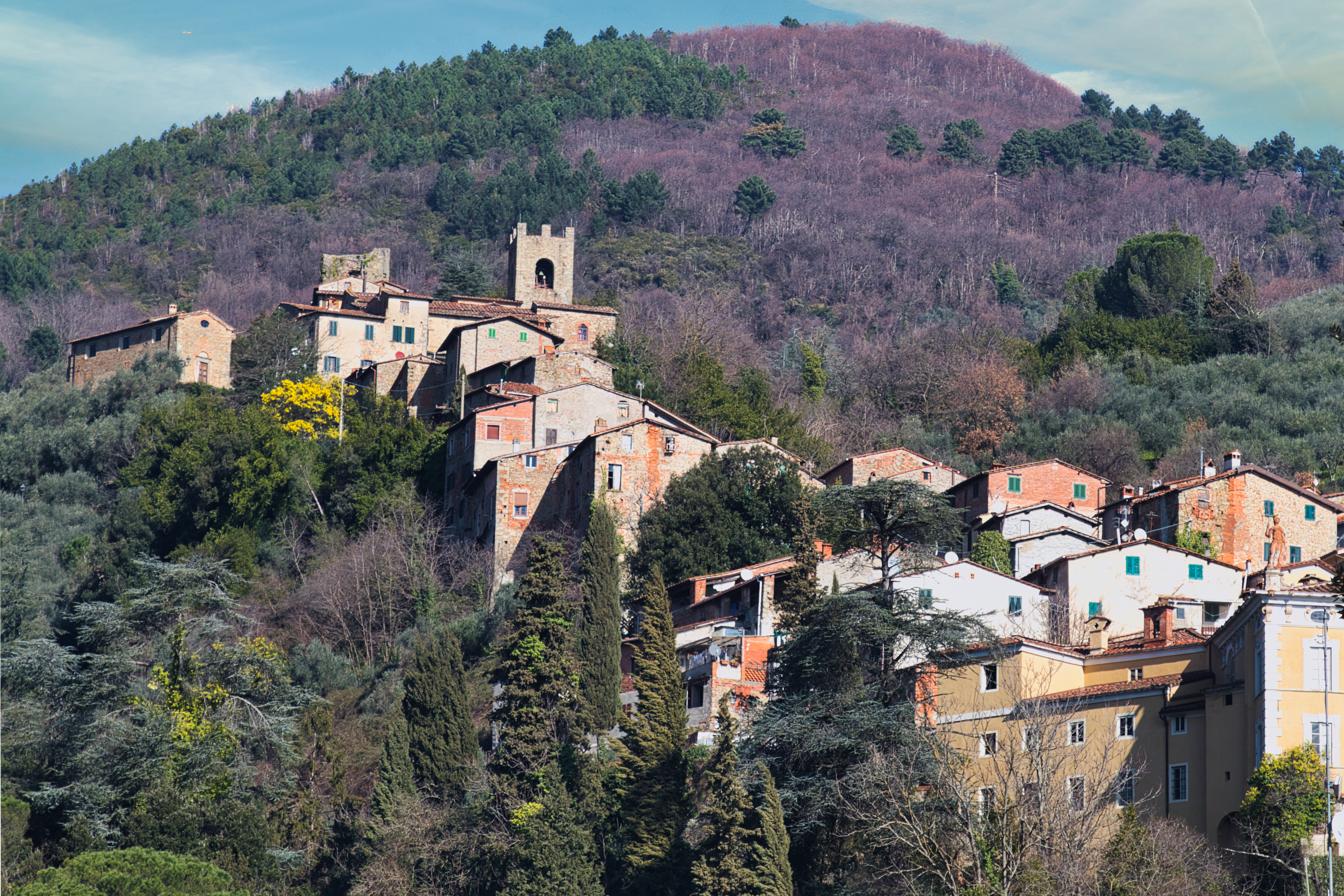 Italie-Toscane-Colodi_MG_0952 