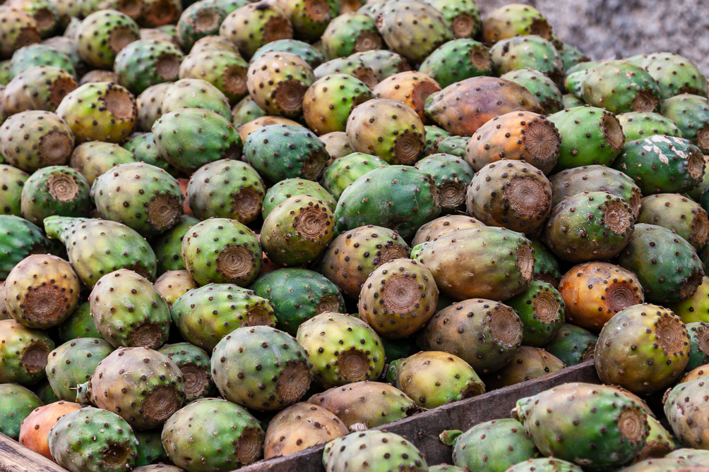 Figues de Barbarie 