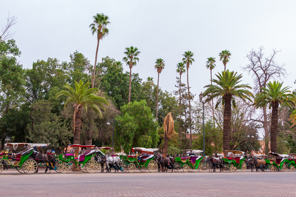 Place jemaa el fna 