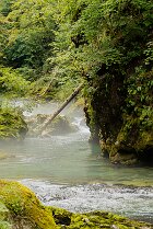 La rivière Radovna La rivière Radovna dans le parc national du Triglav, en Slovénie[